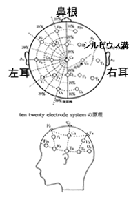 電極を付けた箇所（図1）